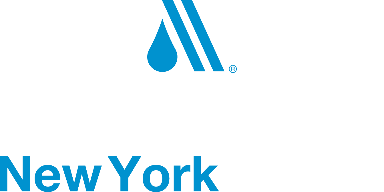 Image result for new york awwa